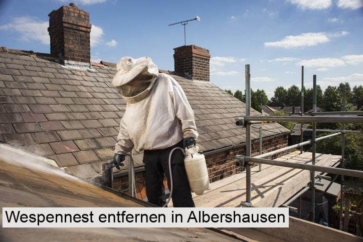 Wespennest entfernen in Albershausen